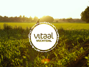 Vitaal Vechtdal leden-zorgcollectief stopt